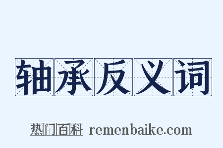 轴承反义词是什么意思的图片